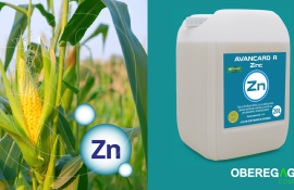 А нужен ли цинк культурным растениям? - agroexpert.md