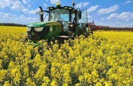creștere preț rapiță - agroexpert.md