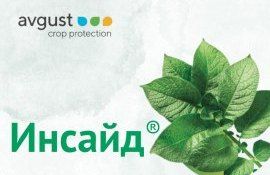 Инсайд® - фитофтороз побежден = agroexpert.md