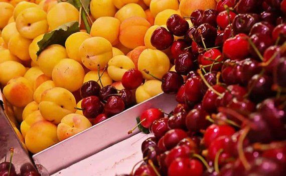 Обзор рынка плодово-ягодного сырья для заморозки в Молдове - agroexpert.md