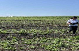 razii irigare teren agricol - agroexpert.md