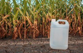 reciclare deșeuri agricultură - agroexpert.md