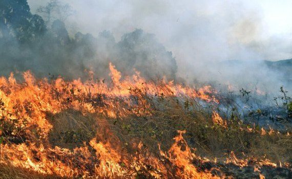 Cod Galben pericol incendiu - agroexpert.md
