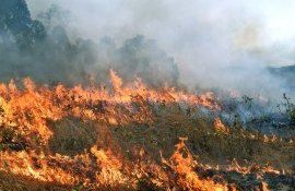 Cod Galben pericol incendiu - agroexpert.md
