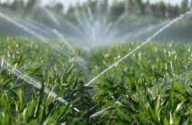 Grant agricultor tehnologii de irigare - agroexpert.md
