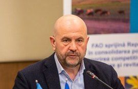 Bolea agricultură - agroexpert.md