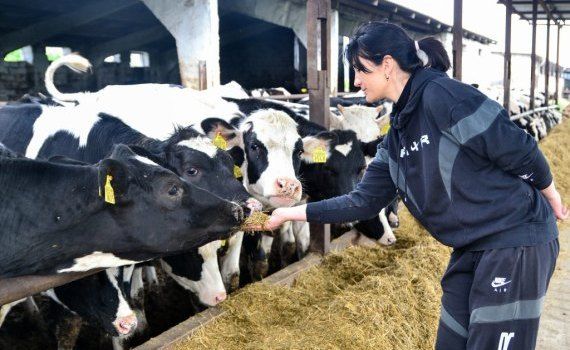 antreprenoare fermă vaci digitalizată - agroexpert.md
