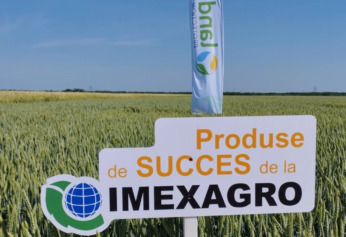 Imexagro: как правильно выбрать семена и технологии защиты озимых культур - agroexpert.md