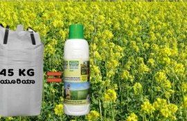 Индия приступила к экспортным поставкам наномочевины в США - agroexpert.md