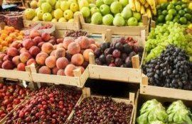 recomandări ANSA caniculă - agroexpert.md