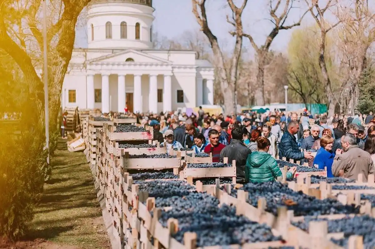 Более 200 тонн фруктов, проданных в Соборном парке: „давайте будем солидарны с нашими производителями”