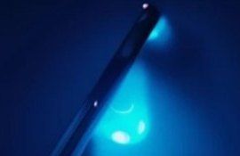 Синий свет может стимулировать прорастание культурных семян и уничтожение сорных - agroexpert.md