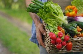 conversie producție ecologică - agroexpert.md