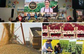 самых интересных новостей - agroexpert.md