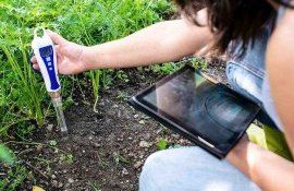 Накопление нитратов в почве зависит от способа его обработки - agroexpert.md