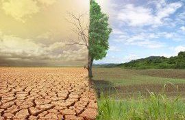 Europa încălzire - agroexpert.md