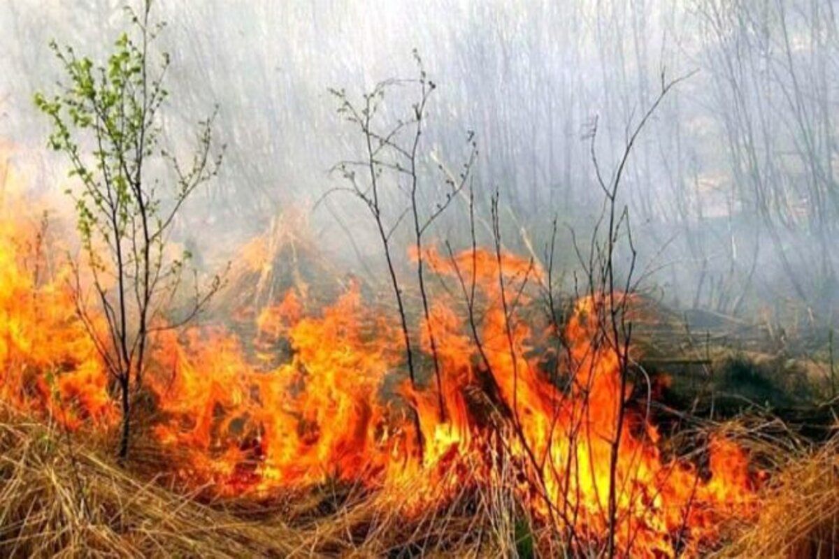 Cod Galben incendii Moldova - agroexpert.md