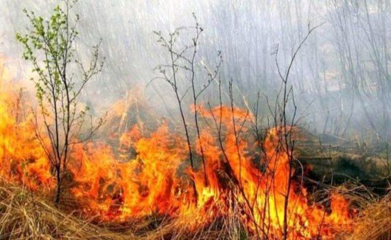 Cod Galben incendii Moldova - agroexpert.md