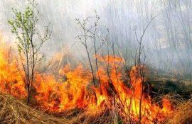 Cod Galben incendii Moldova - agroexpert.md