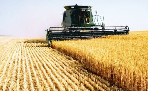 roada cereale agricultor - agroexpert.md