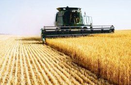 roada cereale agricultor - agroexpert.md