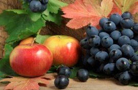 export produse UE - agroexpert.md