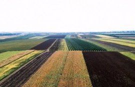 noul cod funciar - agroexpert.md