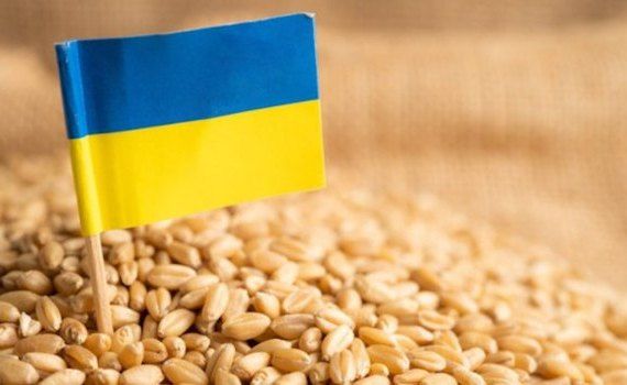 recoltă grâu Ucraina - agroexpert.md