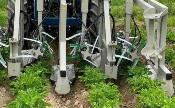 Немецкий фермер изобрел машину для сбора колорадских жуков - agroexpert.md