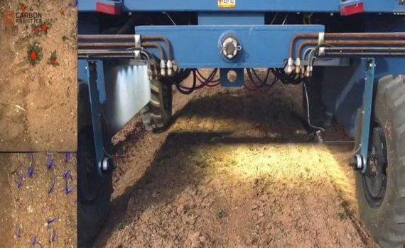 Лазерный робот-пропольщик сорняков заменяет труд 70 человек - agroexpert.md