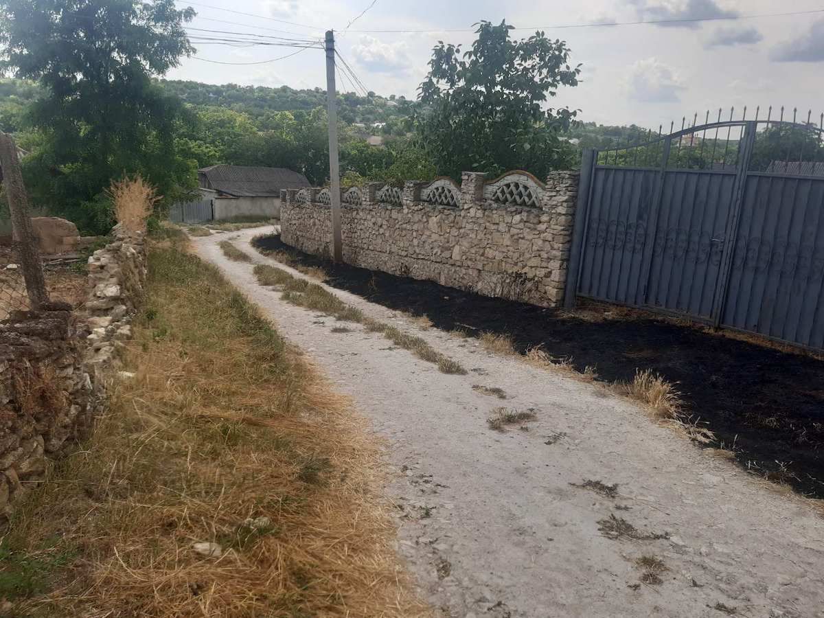 amendă vegetație incendiată - agroexpert.md