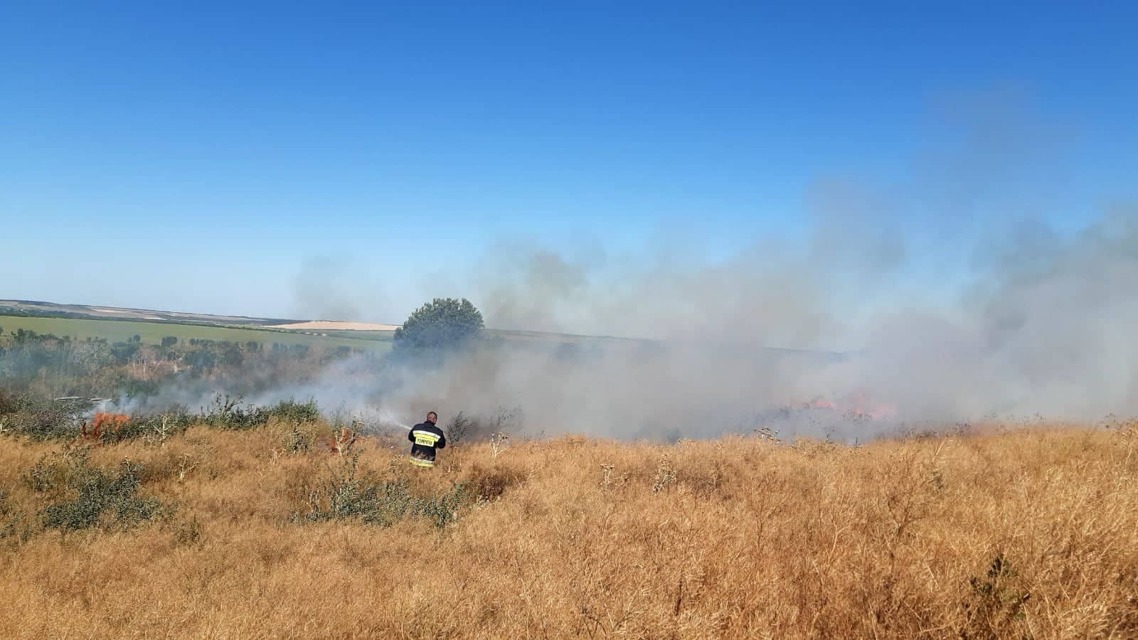 incendii de vegetație - agroexpert.md