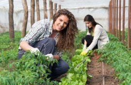 antreprenoriat femei Moldova - agroexpert.md