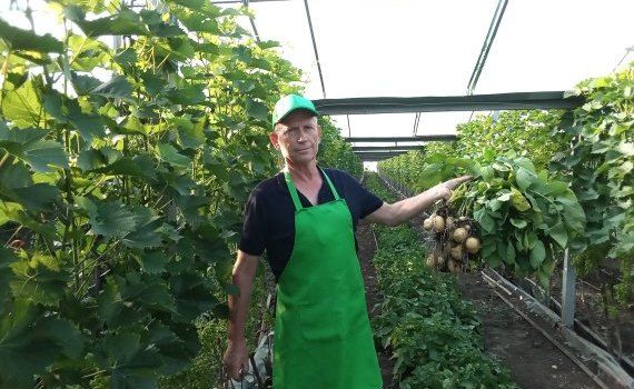 agricultor ecologic Drochia - agroexpert.md