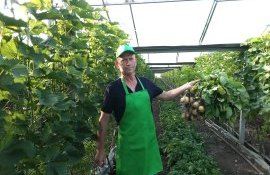 agricultor ecologic Drochia - agroexpert.md