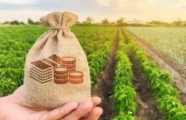 subvenții bani agricultură - agroexpert.md