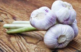 Китайский чеснок заходит в Европу в обход квот - agroexpert.md