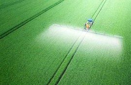 Фермеры ЕС заставили чиновников подумать о смысле сокращения пестицидов - agroexpert.md