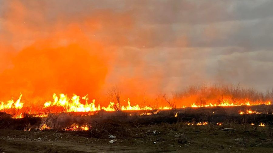 pericol de incendiu SHS - agroexpert.md