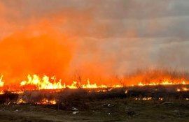 pericol de incendiu SHS - agroexpert.md
