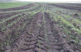 Ученые научились прогнозировать воздействие сельхозтехники на почву - agroexpert.md