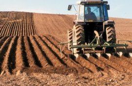 subvenții Forța Fermierilor - agroexpert.md