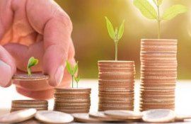 Regulament subvenții - agroexpert.md