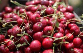 cireșe export UE - agroexpert.md