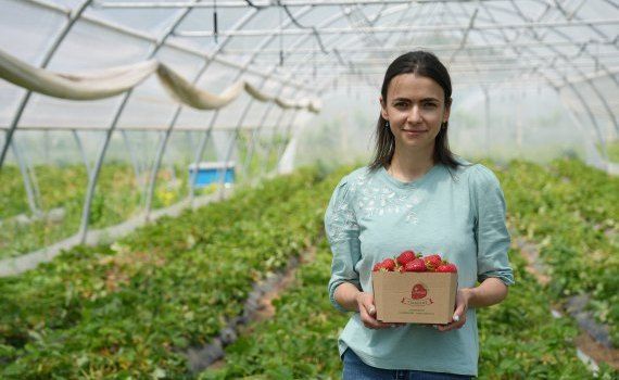antreprenoare căpșuni - agroexpert.md
