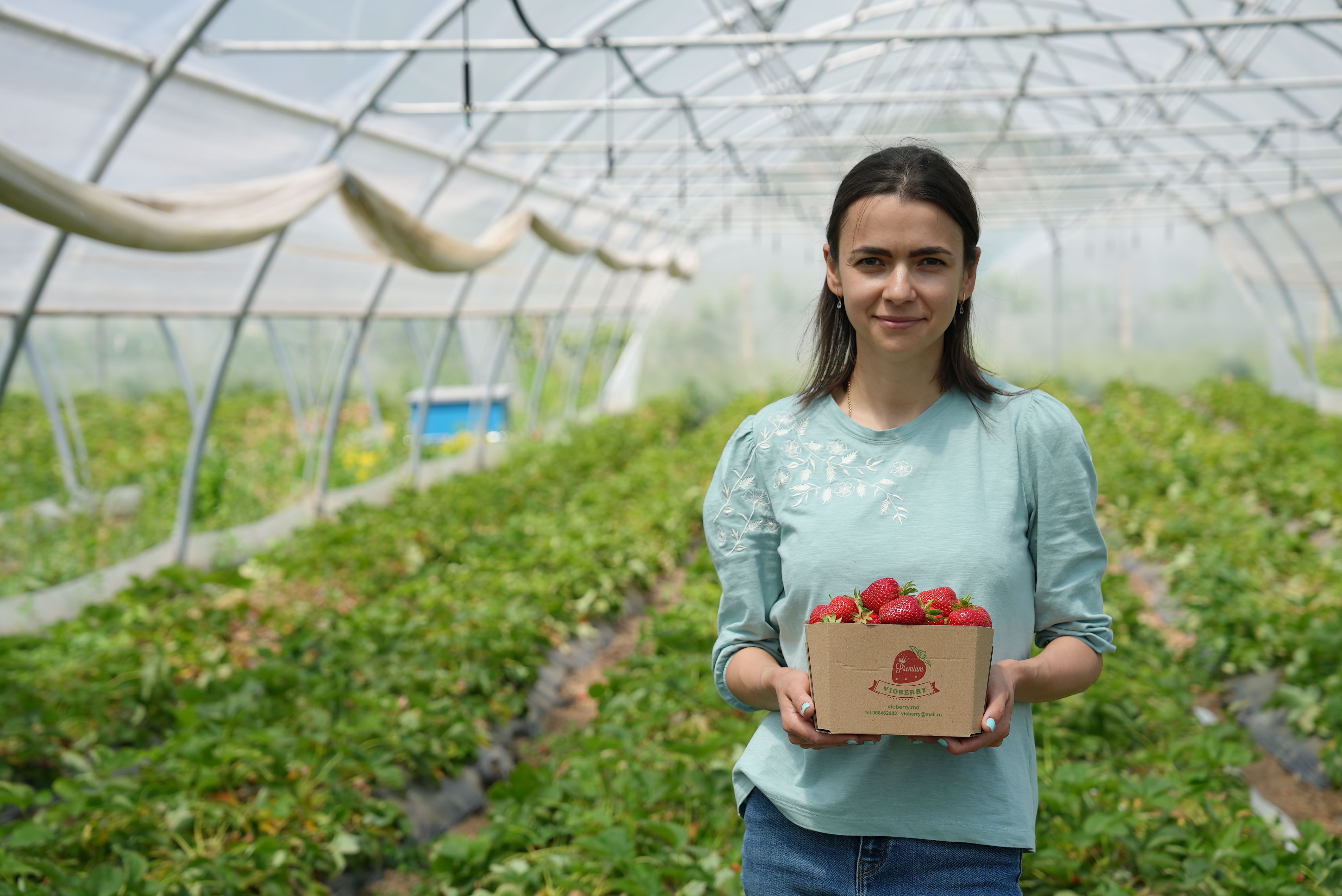 antreprenoare căpșuni - agroexpert.md