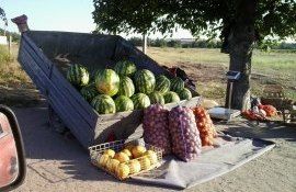ANSA recomandări - agroexpert.md