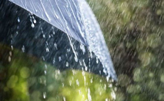 prețuri avertizări meteo - agroexpert.md