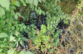 informare agricultor recolare IPM - agroexpert.md - 