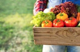 produse locale - agroexpert.md